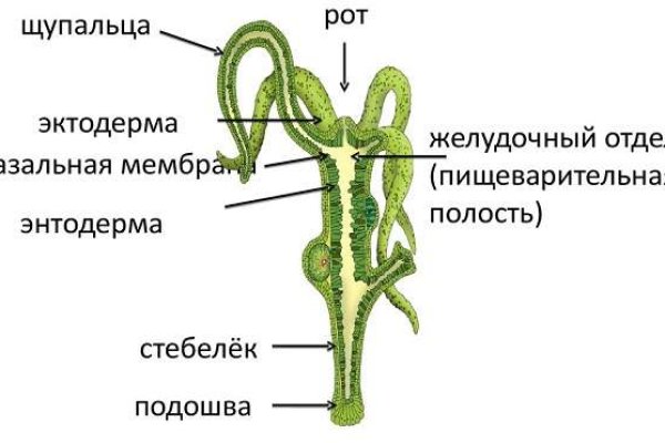 Кракен маркет kr2web in