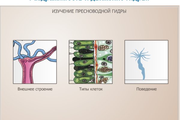 Как восстановить пароль на кракене